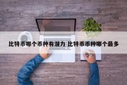 比特币哪个币种有潜力 比特币币种哪个最多