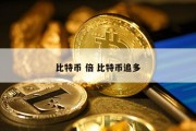 比特币 倍 比特币追多