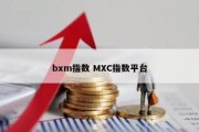 bxm指数 MXC指数平台