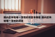 国内区块链唯一落地的项目有哪些 国内区块链唯一落地的项目