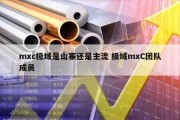 mxc极域是山寨还是主流 极域mxC团队成员