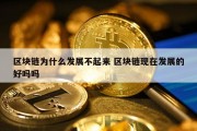 区块链为什么发展不起来 区块链现在发展的好吗吗