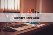 抹茶的季节 3月有抹茶吗
