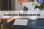 区块链前沿项目 最纯正的区块链龙头项目